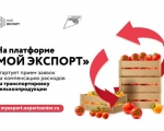 Cтартовал прием заявок на компенсацию расходов на транспортировку сельхозпродукции