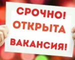 Дополнительные рабочие места для выполнения работ по благоустройству территории города Мурманска