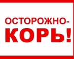 Администрация ЗАТО город Заозерск сообщает